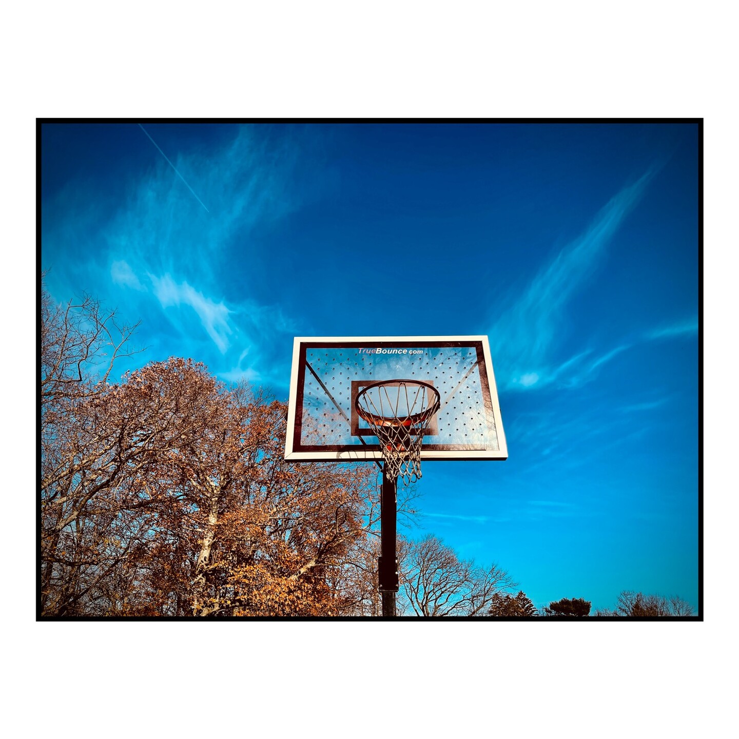 A basketball hoop shines in the sun with a blue sky behind it.