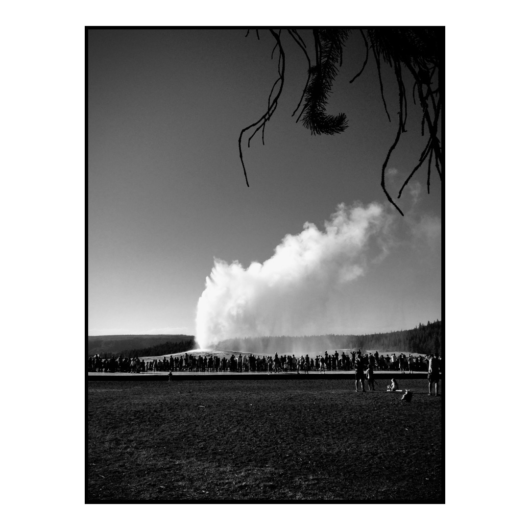 A black and white photo of Old Faithful and a line of tourists watching.