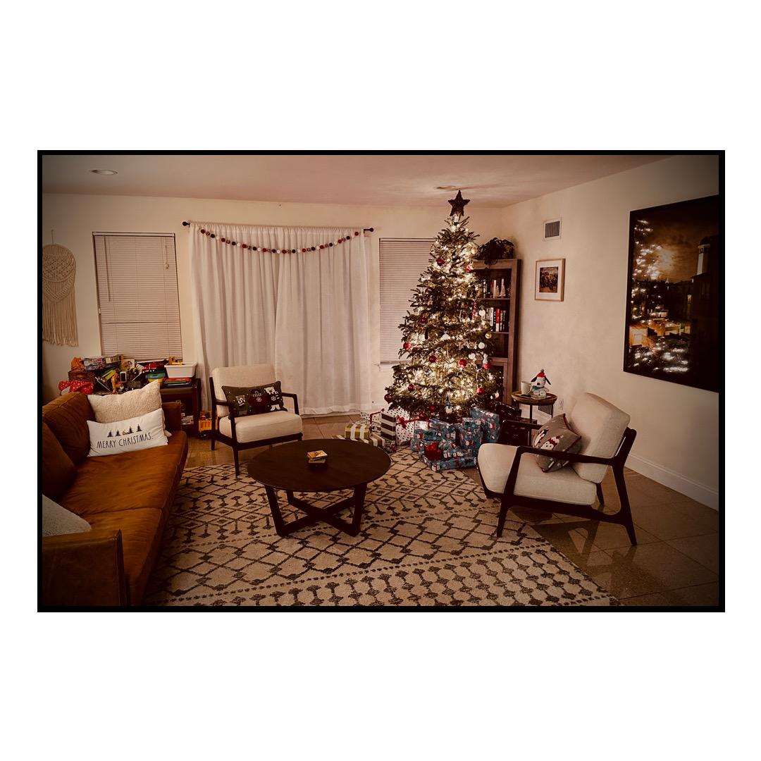 A living room with a Christmas tree in the corner, coffee table and two chairs.