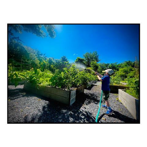 Our son watering the plants.
