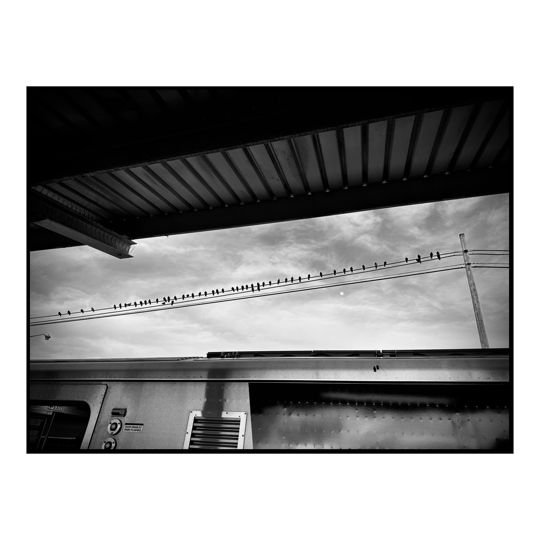 Pigeons sitting on an electrical wire above a trains