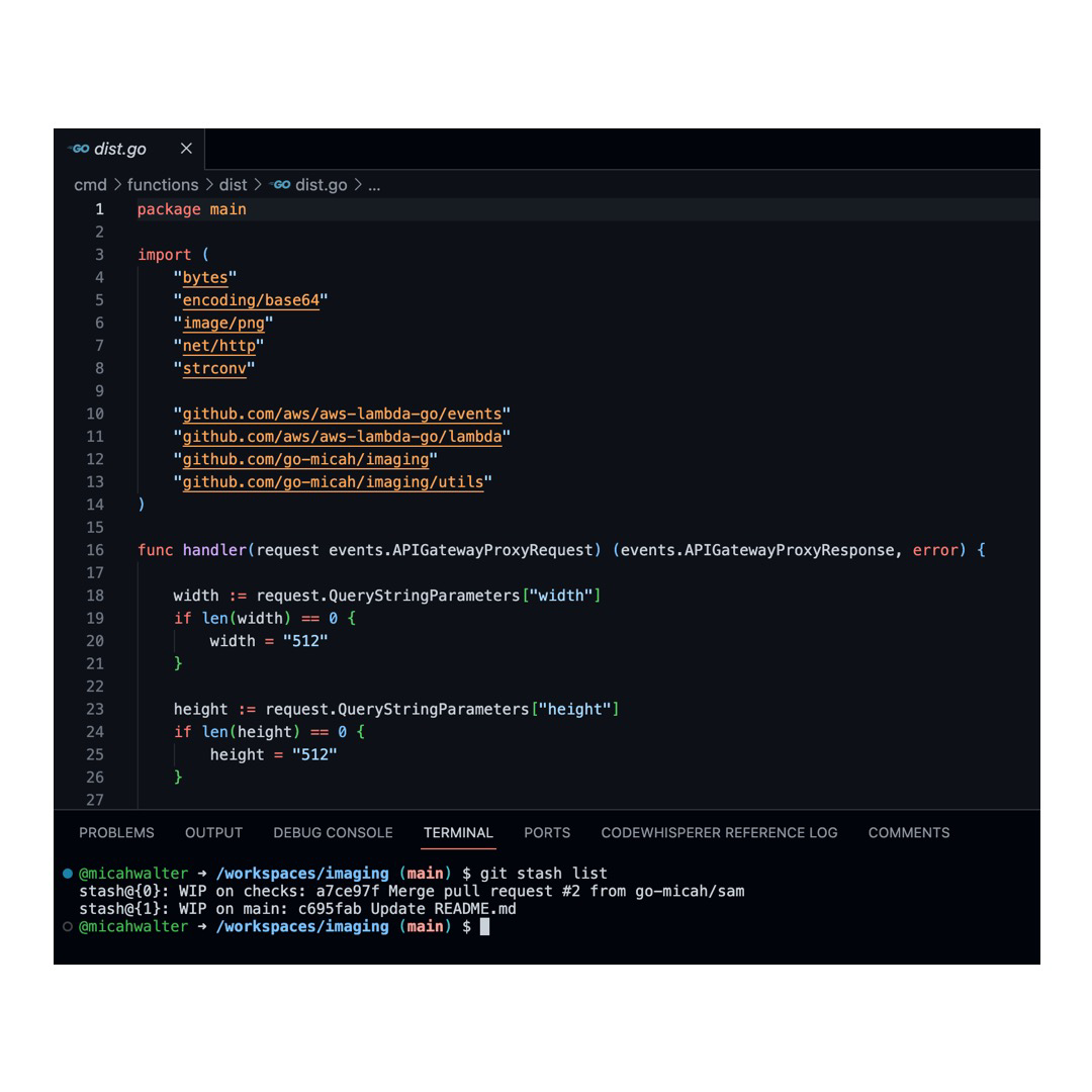 Screenshot of VS Code depicting some Go code and terminal window