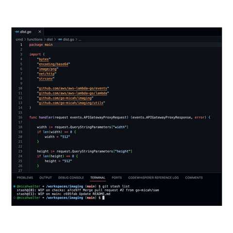 Screenshot of VS Code depicting some Go code and terminal window