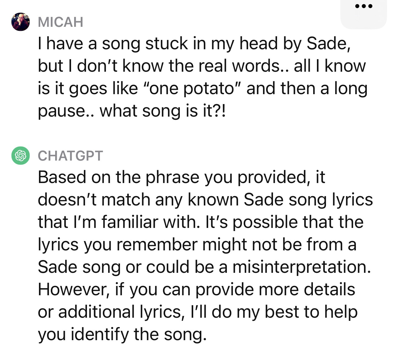 Screenshot of convo with ChatGPT