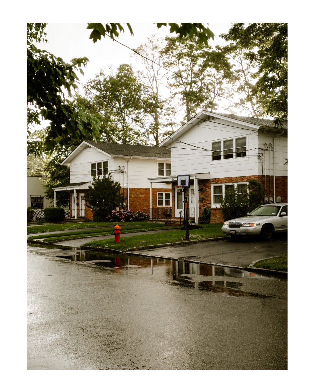 Post rain view of a suburban street